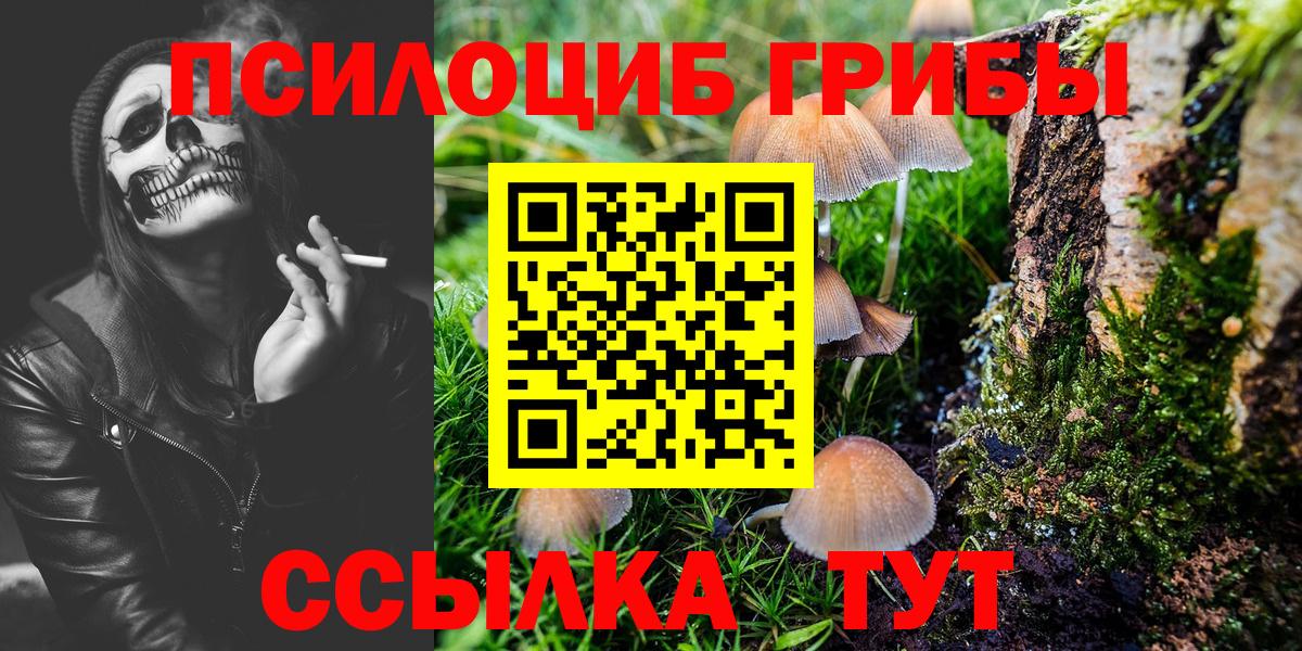 Россия  Псилоцибиновые грибы Psilocybe  Галлюциногенные грибы мухоморы  Вход с VPN 